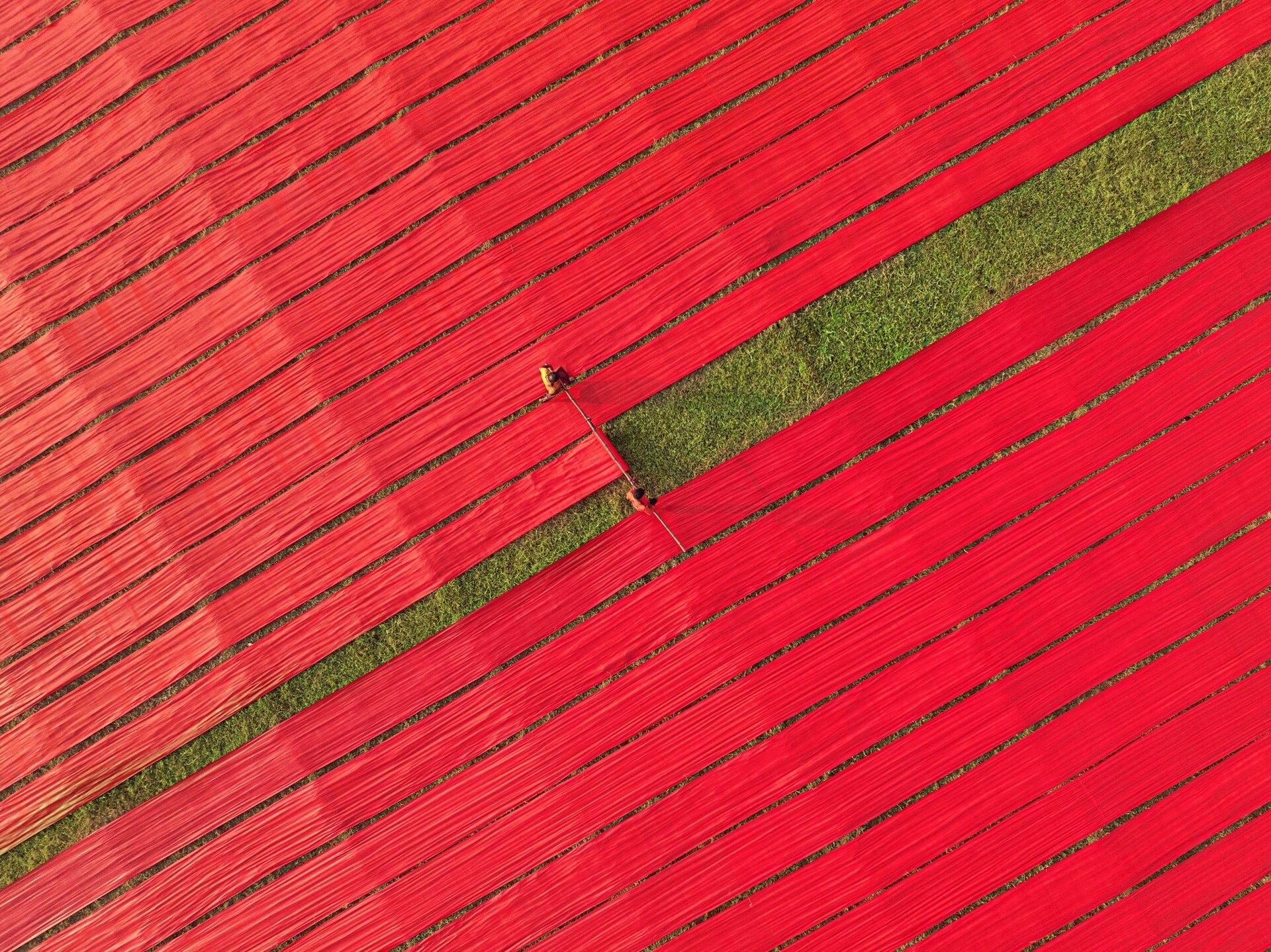 Dyed fabric laid out to dry at a textile facility in Narsingdi, Bangladesh